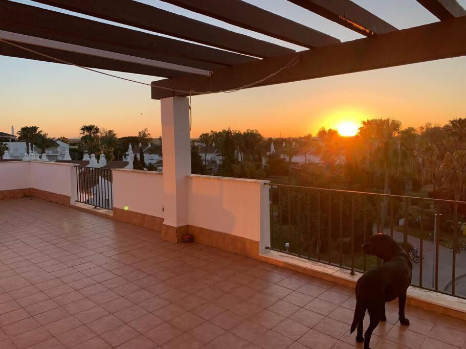Atico Costa Ballena - Cadiz Rota Exterior foto